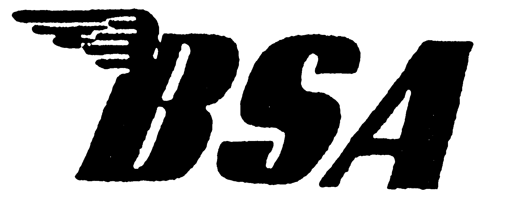 [BSA Logo]